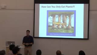 The Empirical Case for a Plant-Based Diet