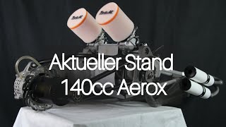 Aktueller Stand #1 |Zweizylinder 140cc Aerox| + Maxi Twin 365cc Info