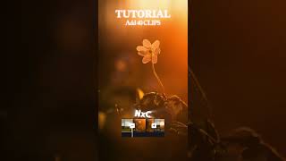 𝐓𝐔𝐓𝐎𝐑𝐈𝐀𝐋#shortvideo #tutorial #template #travel #reelstutorials #edit