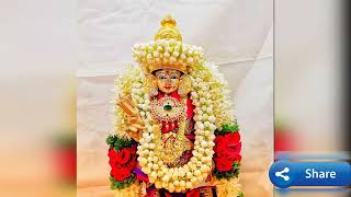 Karthigai Murugan darshan