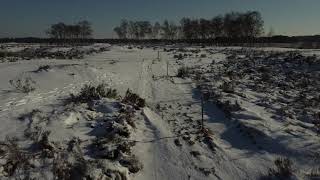 Kalmthoutse Heide   HD 1080p