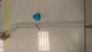 Transverse Wave (with cup)