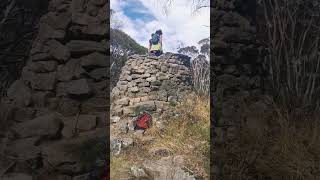 Mt Baw Baw Hike 2 VIC Australia #shorts #nature #mountains