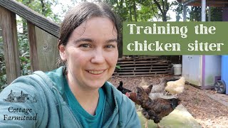 Training a chicken sitter | Traveling with a homestead