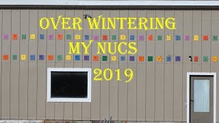 Over Wintering My Nucs 2019