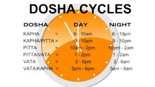 Daily Cycle of the Doshas - Vata-Pitta-Kapha  Ayurveda Routine