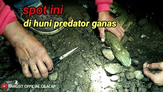 SPOT ini banyak di huni "PREDATOR PREDATOR ".....