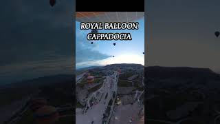 Video made by Royal Balloon #short #royalballoon #video