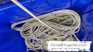 TOGOHK Two Color Silicone Tubing extrusion