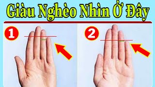 Nhìn Ngón Tay Biết Ngay Tính Cách Năn Nổ Hay Lười Nhác Sang Giàu hay Nghèo Túng