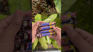 Free Snickers 100% റീഫണ്ട് #viral #shortvideo #m4tech #shorts #trending #snickers #chocolate