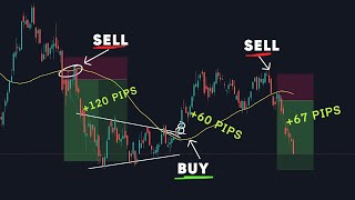 MA 50 Day Trading Strategy -  100% Accurate Strategy