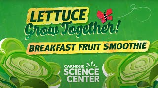 Healthy Fruit Smoothie Recipe — Lettuce Grow Together