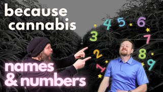 names & numbers - because cannabis episode #6