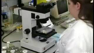 Microscopic Urine Examination