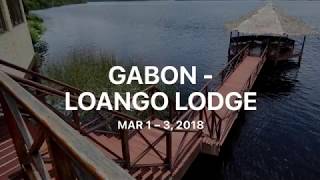 Gabon -  Loango Lodge