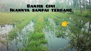 blaaaar❗❗mancing ikan gabus waktu banjir bikin jantungan