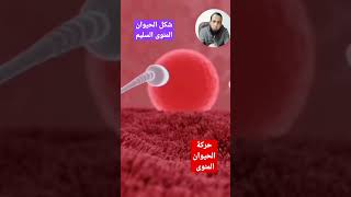 الحيوان المنوى  Sperm count Increase