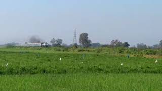 11021 dadar tirunelveli Express