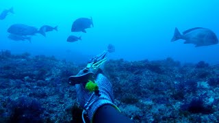 tres GRANDES capturas pescadas por Ricardo Conejo Garcia