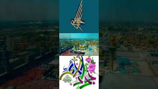 Wiladat Hazrat Imam Muhammad Taqi AS WhatsApp Status 10th Rajab | 9th Imam WhatsApp Status Imam Taqi