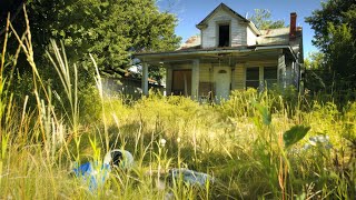 Yard Revamp Adventure: Cleaning Tall Grass, Yard Transformation. Dive into the revamp!