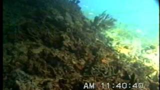 Helmet Diving in the Thunderball Cave, Staniel Cay, Exuma, Bahamas