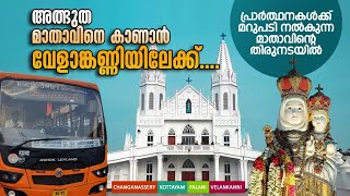 വേളാങ്കണ്ണി പള്ളിയിൽ ഞാൻ കണ്ട അത്ഭുതം | വേളാങ്കണ്ണി പള്ളി | Changanassery To Velankanni KSRTC Bus