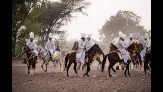 Day 5 Part 9 National championship of Neza Bazi 2018 Faisalabad Agriculture University Tent Pegging