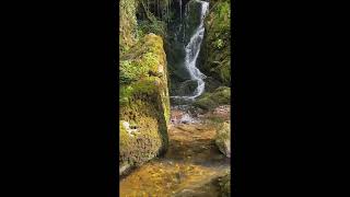 🌊 Une cascade verdoyante cachée en Vallée de la Creuse  ! 🌟