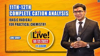 Complete Cation analysis | ISC Chemistry Practical for class 11th and 12th | Chemistry Pandit