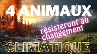 👉 Ces 4 Animaux qui résisteront au changement climatique !