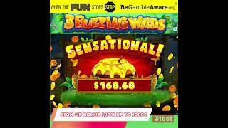 Ready to Experience a Slot Sensation: 3 Buzzing Wilds! 🐝🌟 #casinogaming #casinogame #casinogames