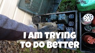 I am trying to do better | Allotments For Fun and Food