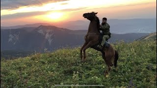 ЛЕМА ХАШУЕВ (ХЬЕХАМ-МОВЛИД) ВЕДЕНСКИЙ Р-ОН. ЭЛИСТАНЖИ 08.08.2020г.