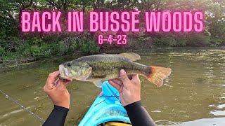 Back at Busse Woods 6-4-23