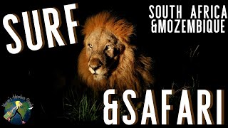 SOUTH AFRICA & MOZAMBIQUE - SURF & SAFARI