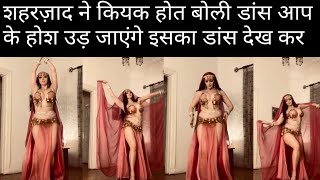 shahrzad | belly dance | international belly dancer | gorgious girl