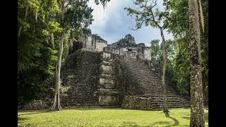 Niesamowity Yucatan las tropikalny relaks dźwięk lasu