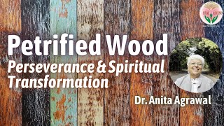 Petrified Wood - Perseverance & Spiritual Transformation | Heal and Ascend |