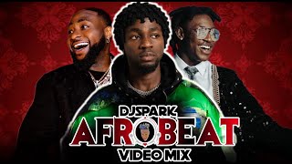 2024 BEST OF THE BEST NAIJA AFROBEAT VIDEO MIX BY DJ SPARK FT DAVIDO/ASAKE/OLAMIDE/WIZKID/SHALLIPOPI