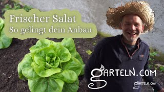 Der eigene frische Salat  🥗 -  So gelingt dein Anbau 🍃💚