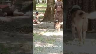 Mother and daughter feeding squirrels