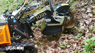 RoboMINI | Fresa Ceppi | Stump Grinder | Energreen