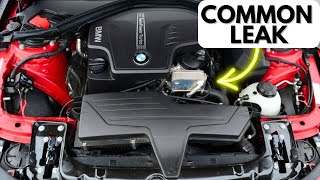 FIX The Most Common BMW Oil Leak