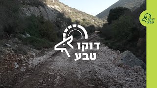 דוקו טבע: השפעות המלחמה על הטבע