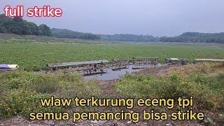 dilapak ini semua bisa strike//spot wareng cirata