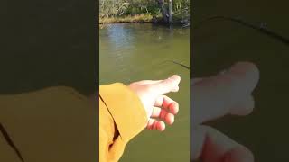 Fisherman gets Embarrassed ( We’ve all done it ) #Shorts