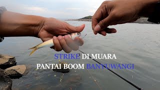 Strike Mancing di Muara Pantai Boom Banyuwangi | Fishing Strike Part 1