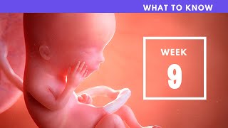 9 Weeks Pregnant | What To Know